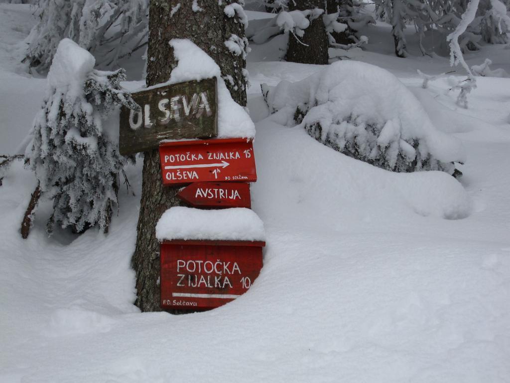 Boutique Rooms Pri Rogovilcu Solčava エクステリア 写真